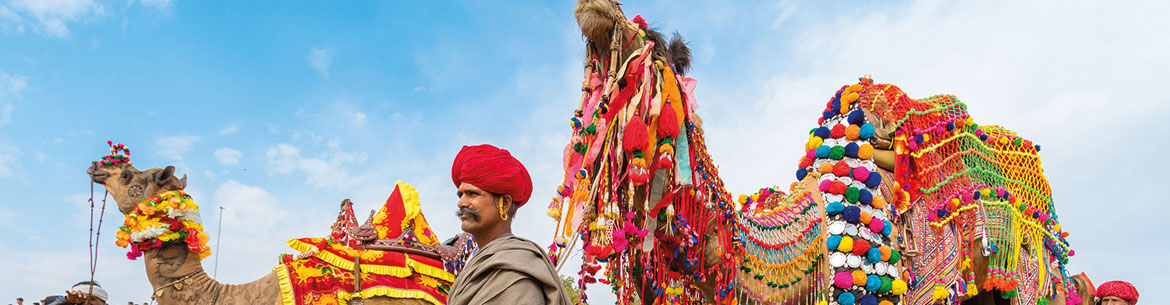 Book Golden Triangle Tour with Wild Safari